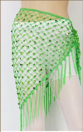 Belly dance costumes sequins  hip scarf