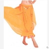 Belly dance costumes - chiffon dance skirt