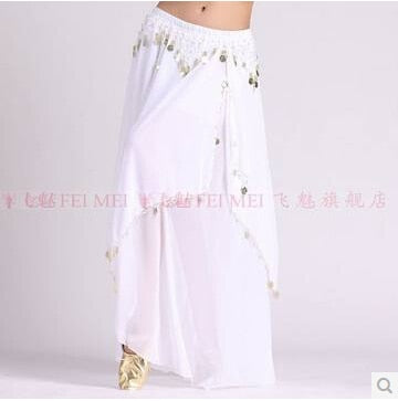 Belly dance costumes - chiffon dance skirt